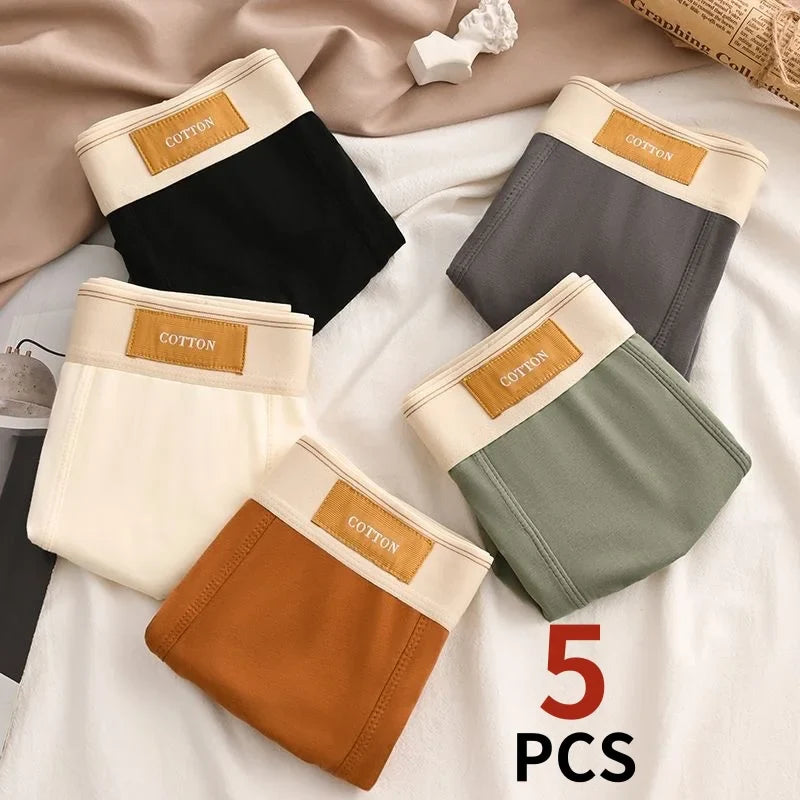 4XL,3XL,2XL,XL