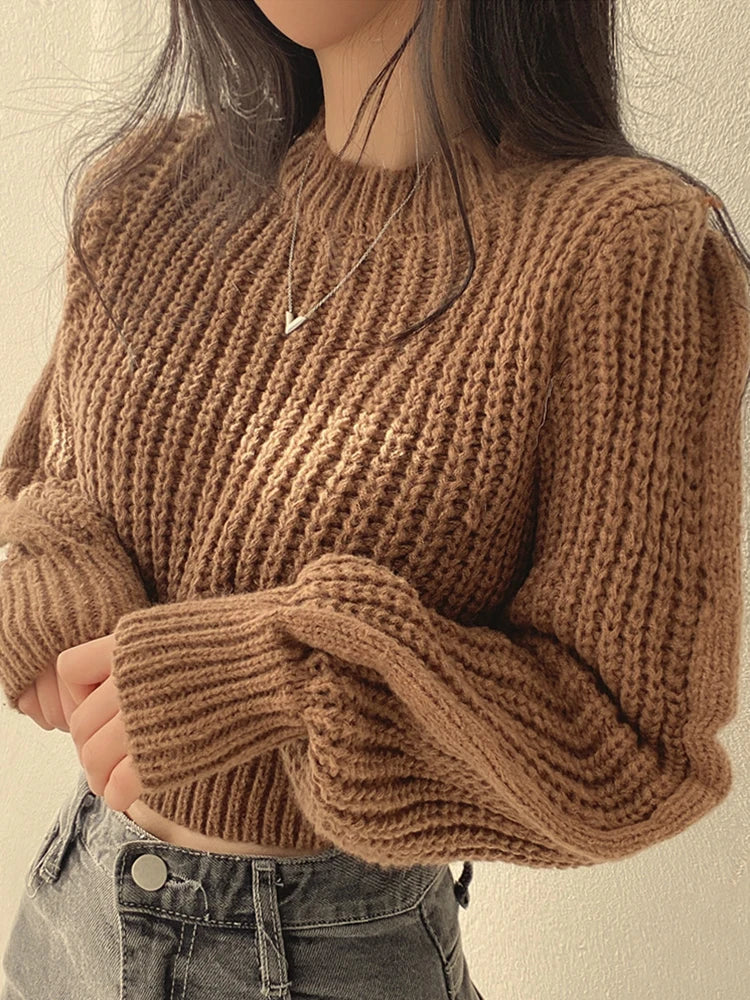 Pull Tricot à Maille Épaisse - Femme