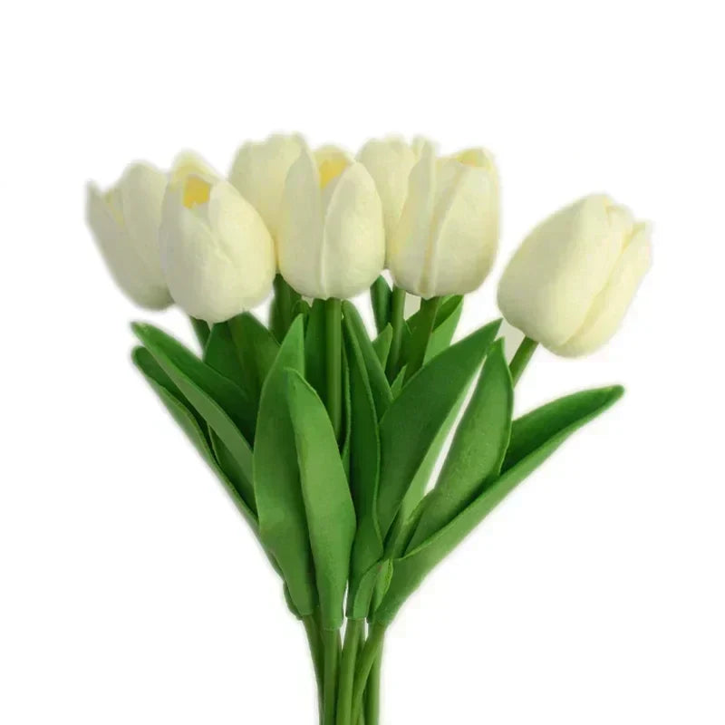 Blanc cassé,Blanc