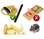Piège à Rats et Souris à Trappe intelligente