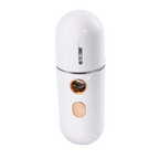 Mini brumisateur facial
