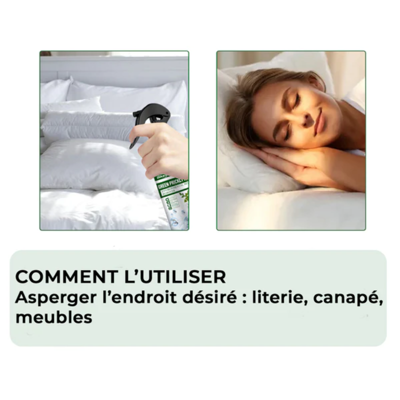 Lot de 2 Sprays anti-punaise de lit