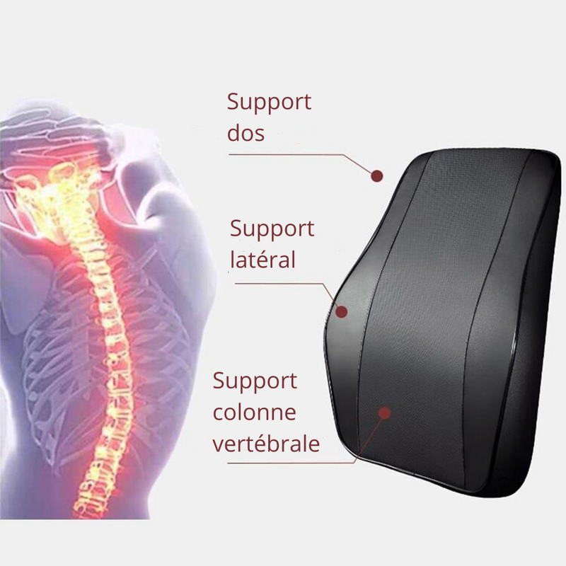 Double oreiller orthopédique pour voiture